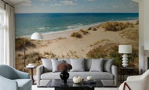 Dune Landscape
