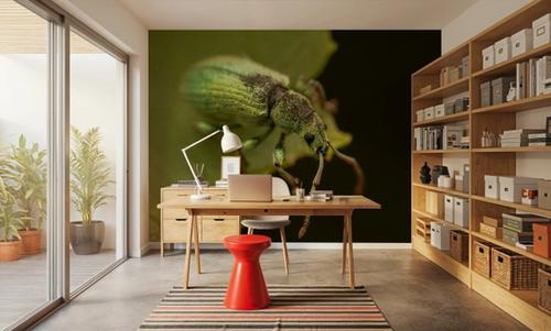 Green Beetle I