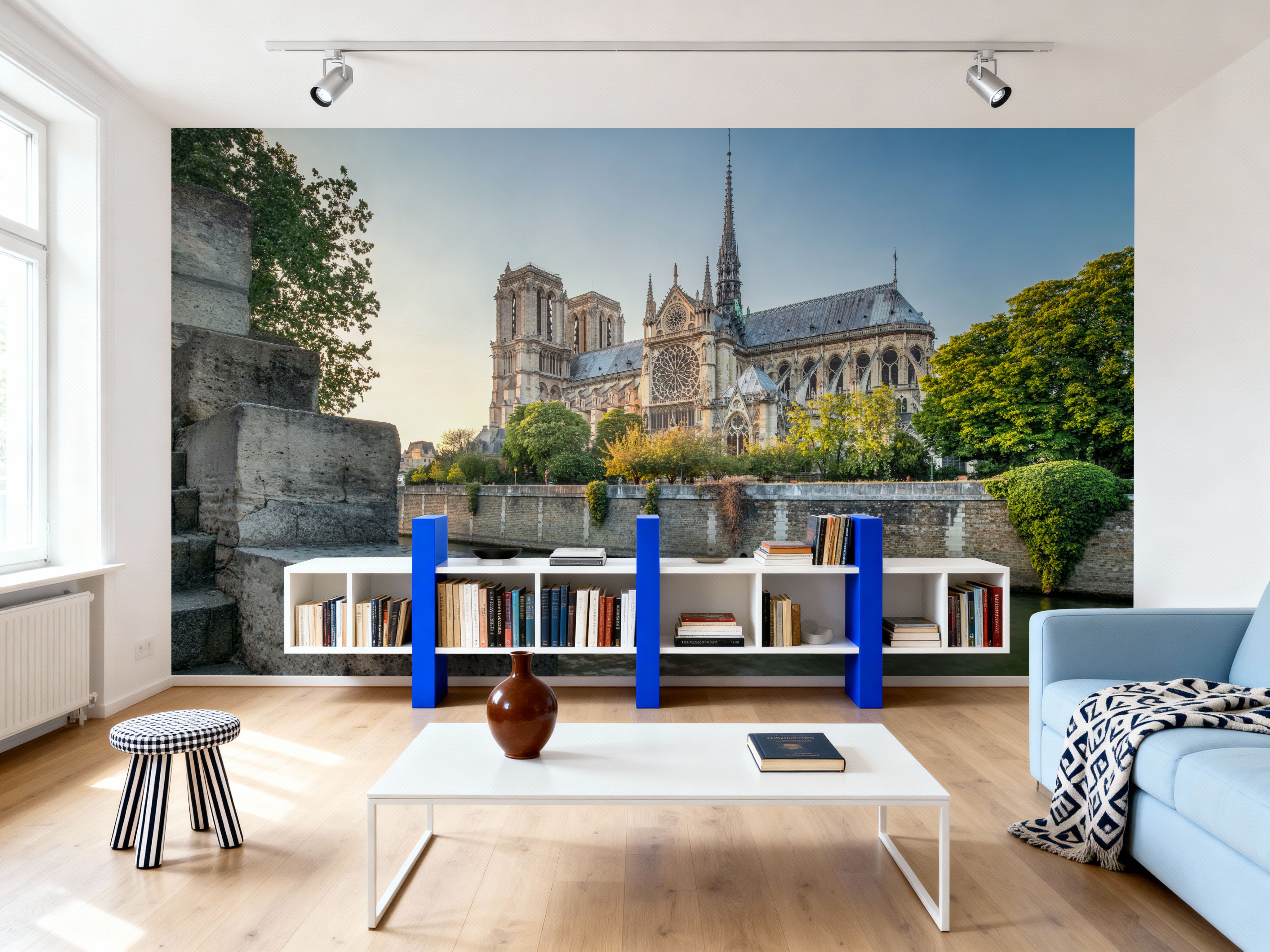 Cathedral Notre-Dame de Paris 2017