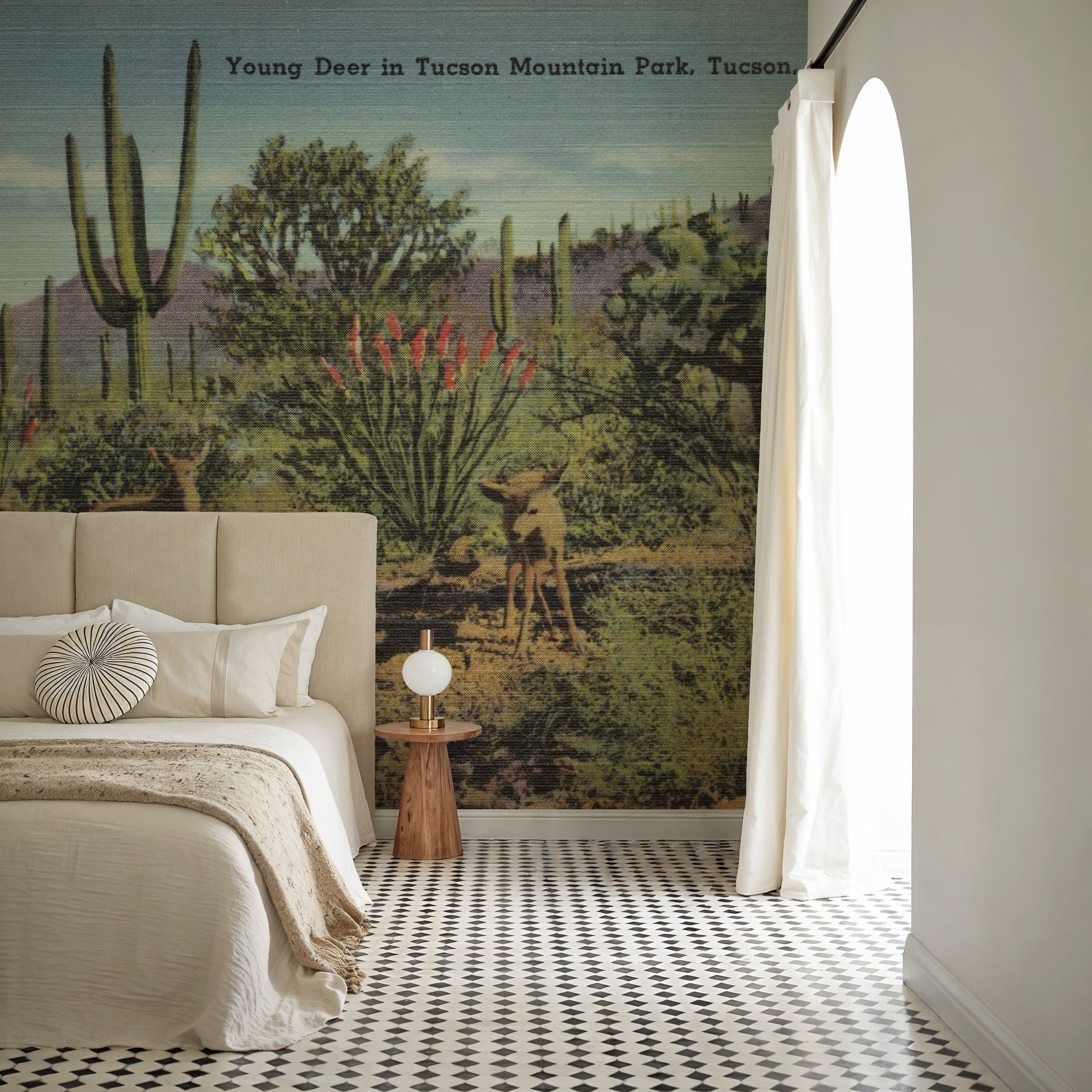 Greetings from Tucson Moutain Park - Screenprint Postcard