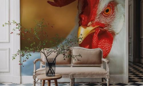 Chicken in the Sun II