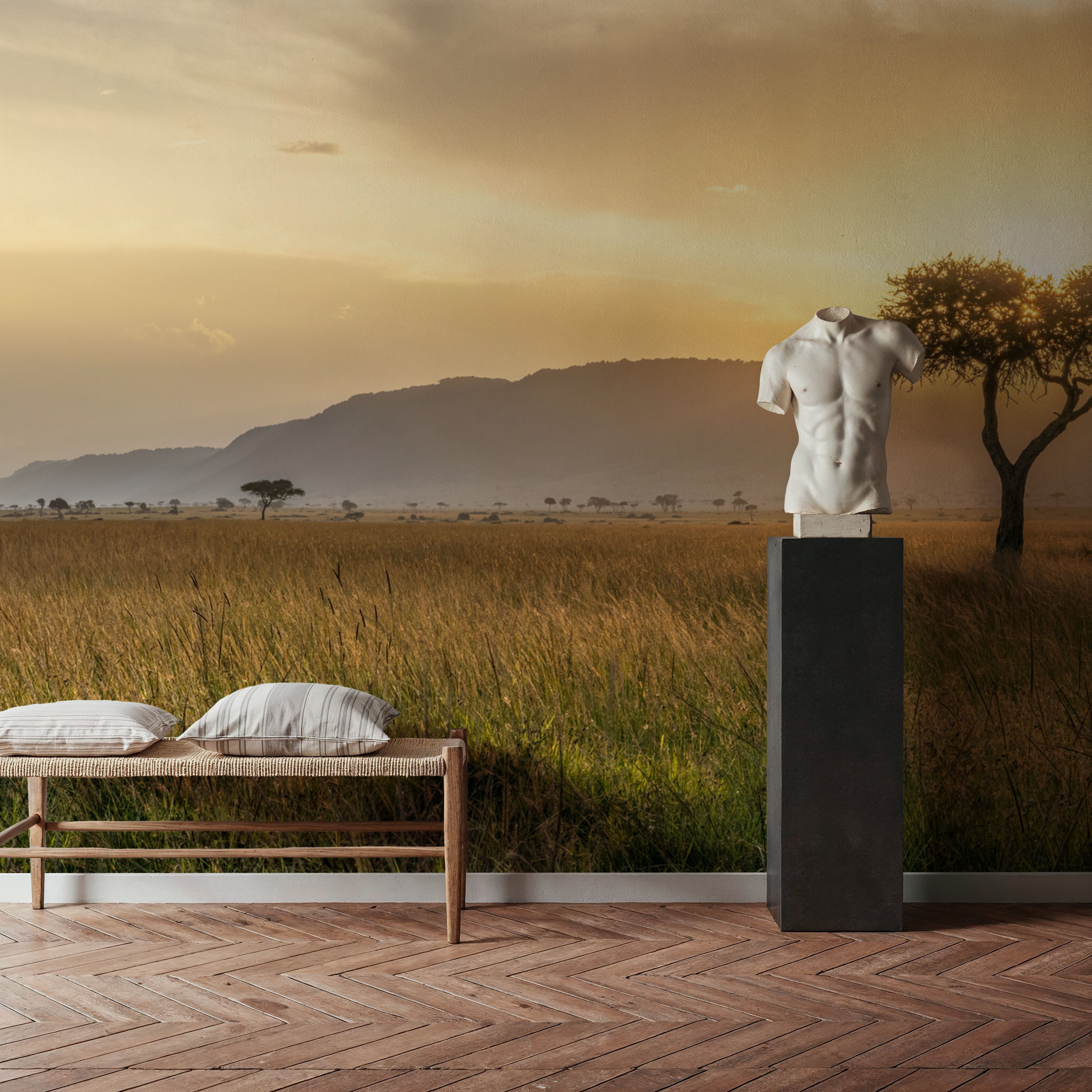 Acacia Sunset