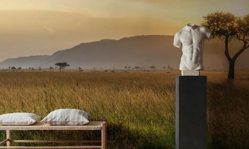 Acacia Sunset