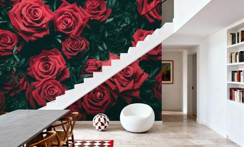 Night Roses