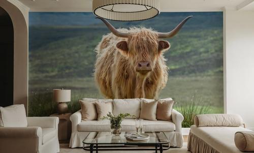 Highland Wanderer