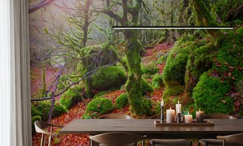 Pyrenees Moss I