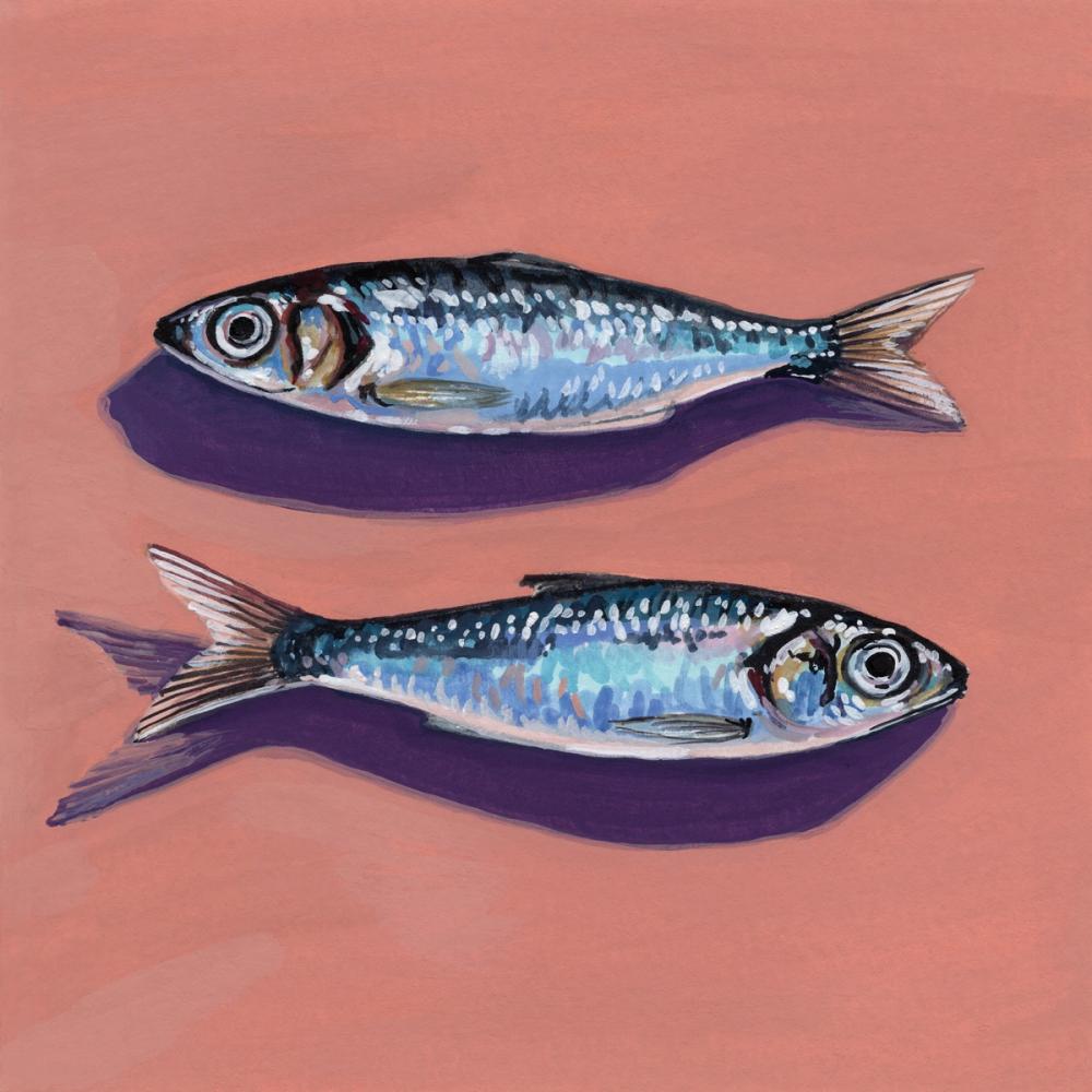 Us But Sardines