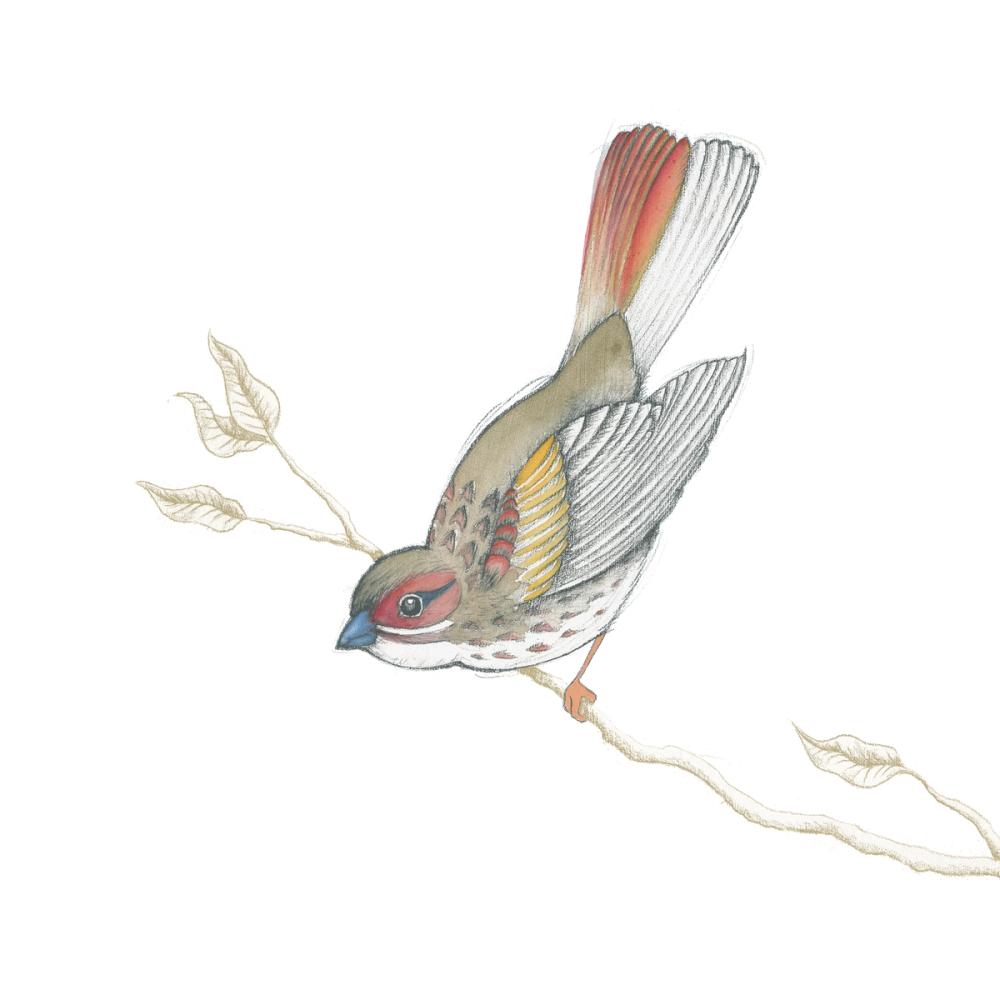 Arts and Crafts Birds II on White