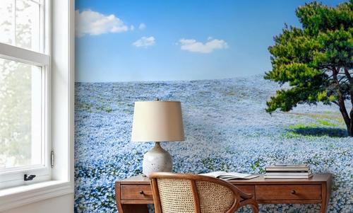 Baby Blue Eyes Nemophila