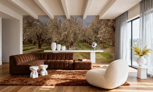 Blooming Almond Grove