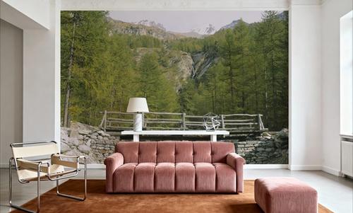 Mountain Bridge Crossing