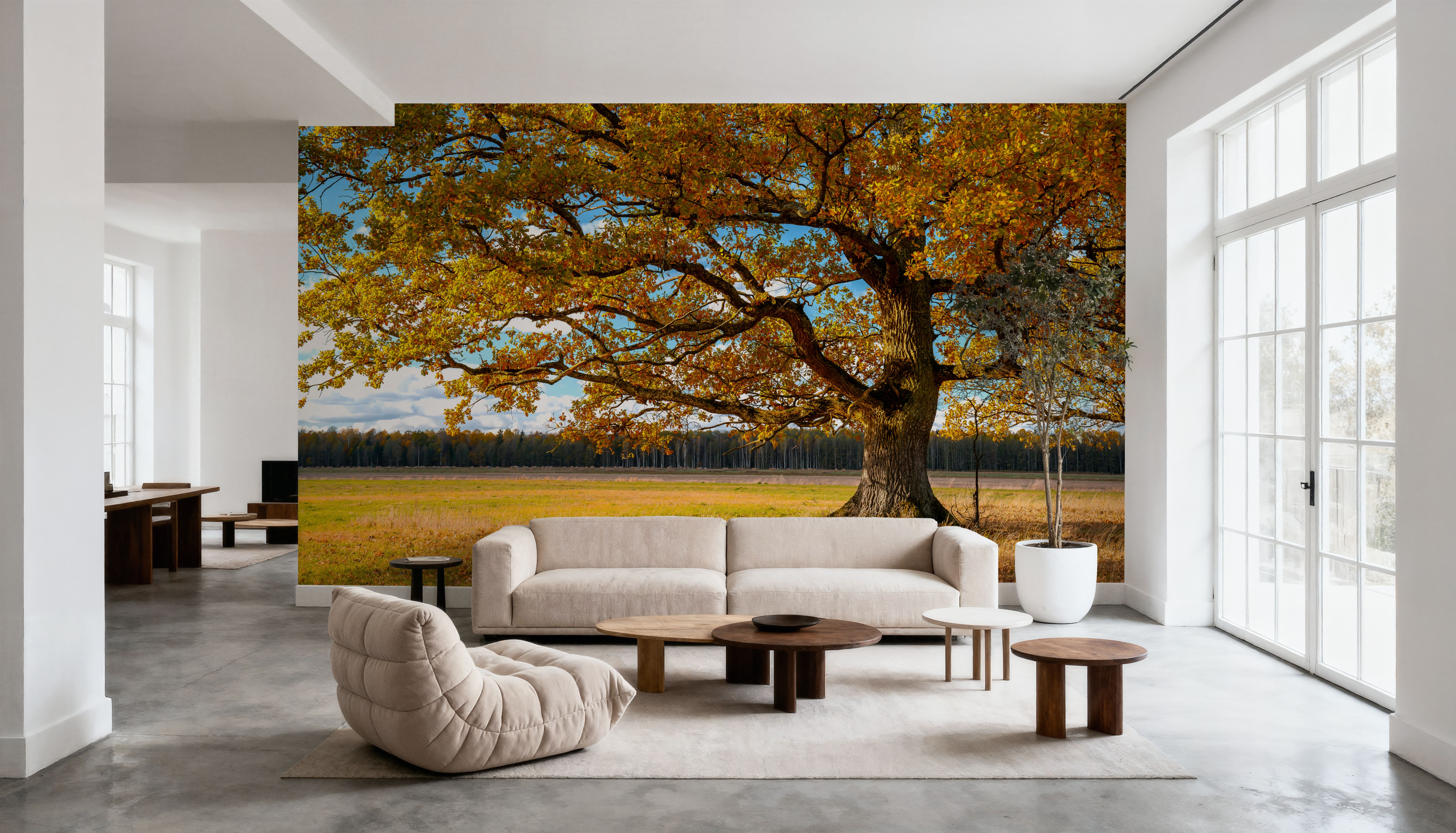 Golden Fall Tree Afternoon