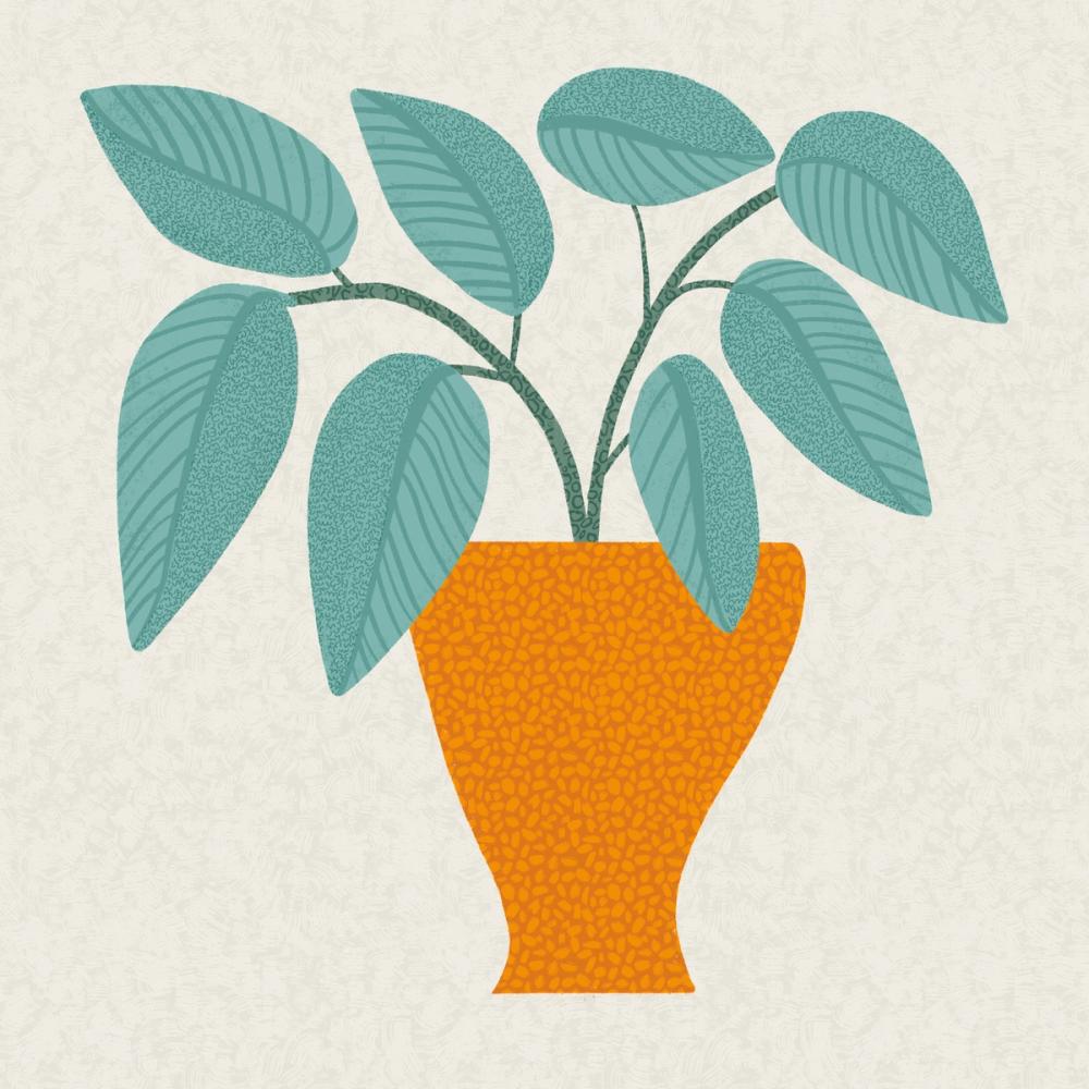 Potted Plants II