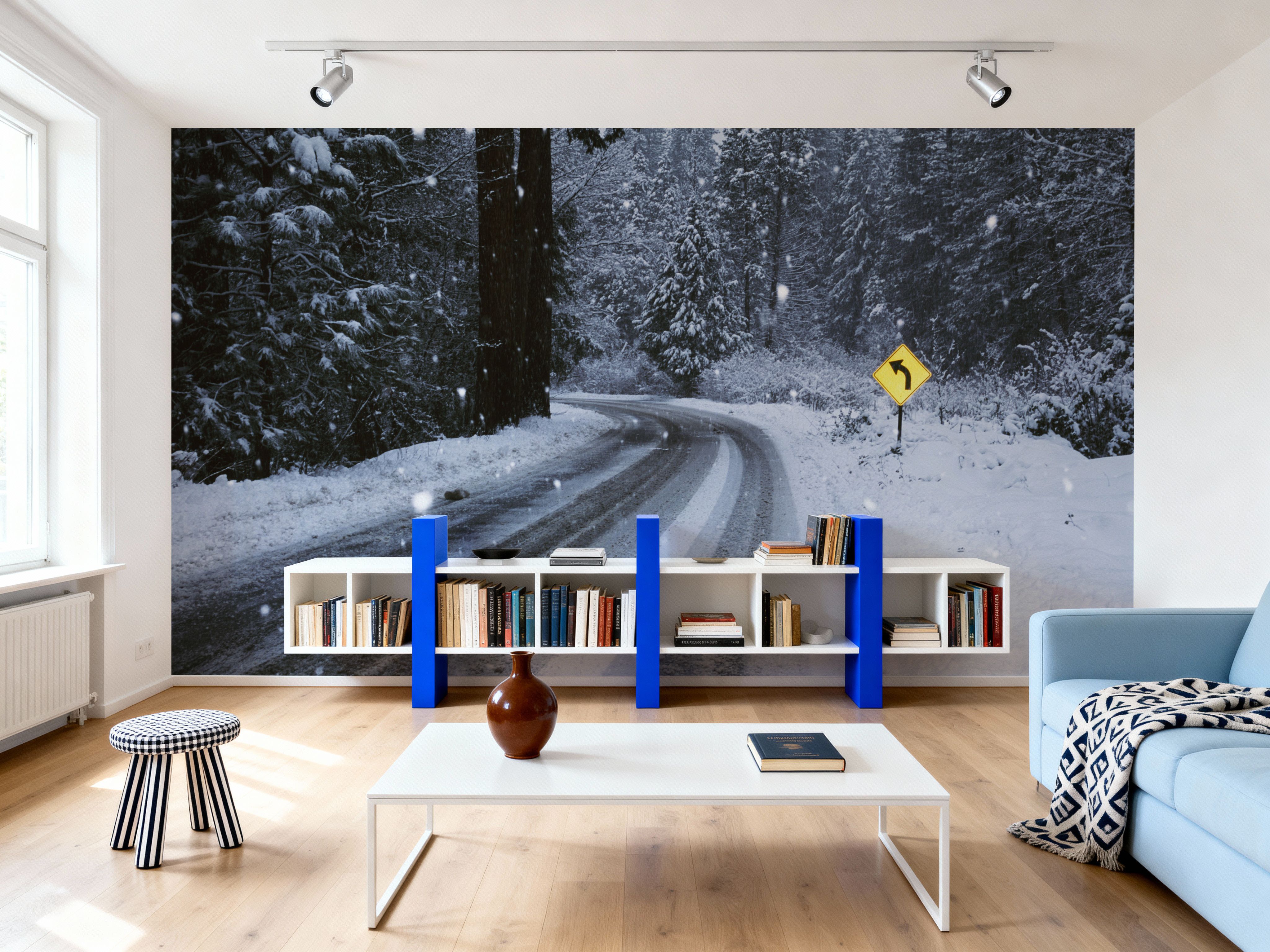 Winter Forest Journey