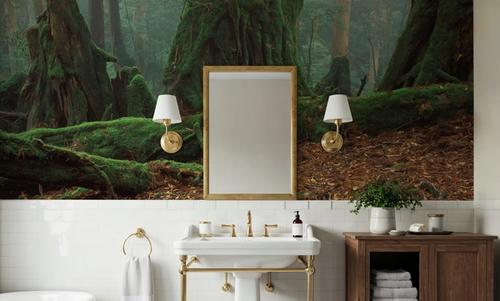 Yaku Rain Forest