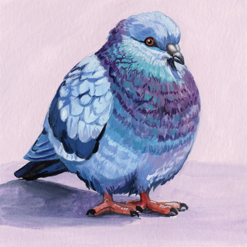 Puffed and Chuffed