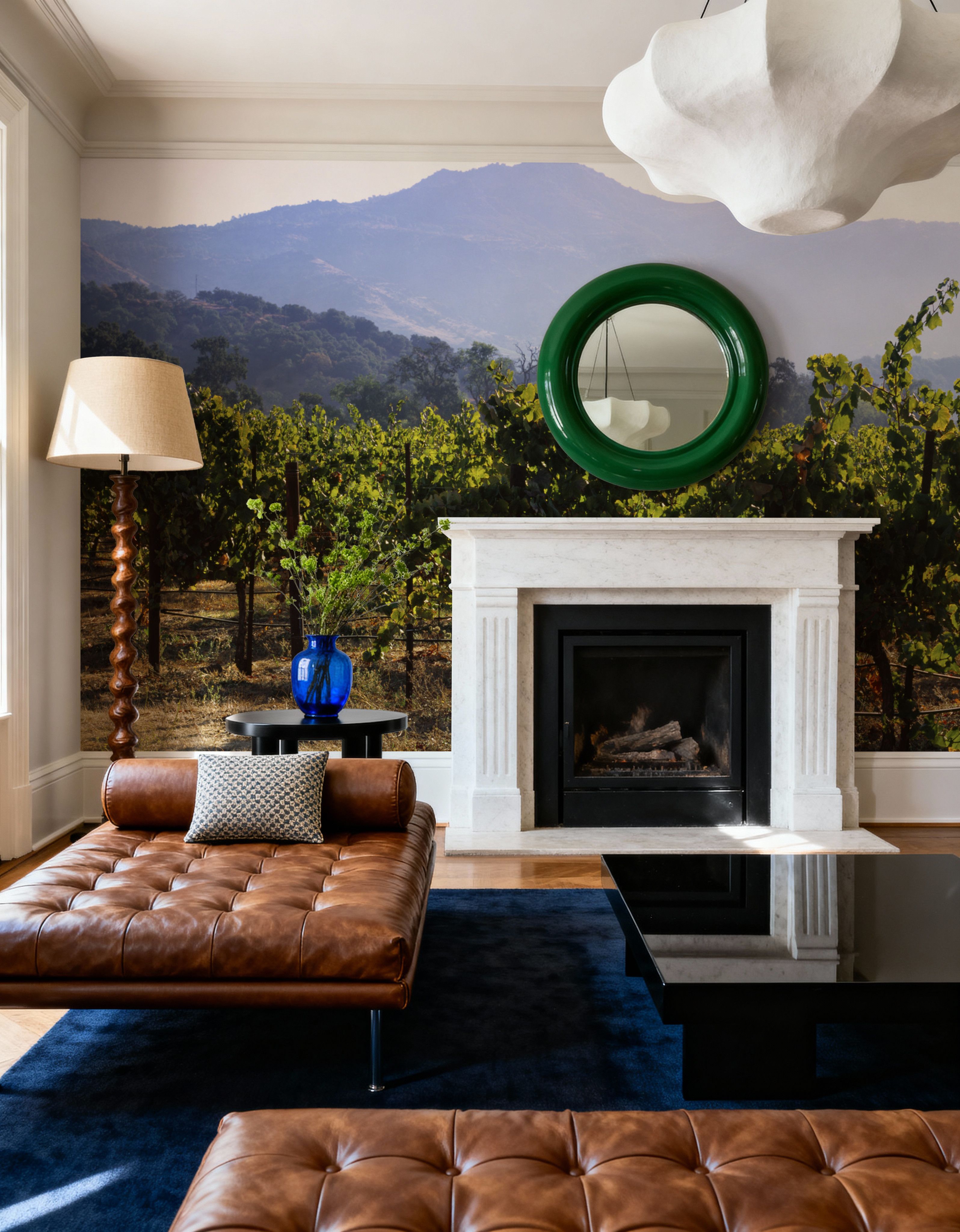 Napa Grape Vines