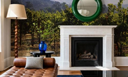 Napa Grape Vines