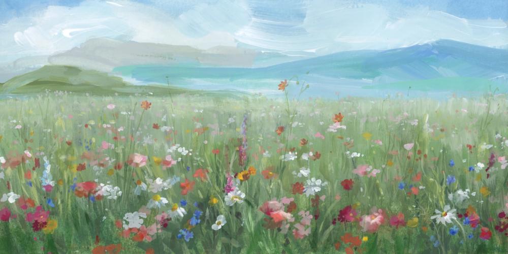 Field of Flowers