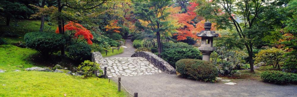 Autumn Zen Garden