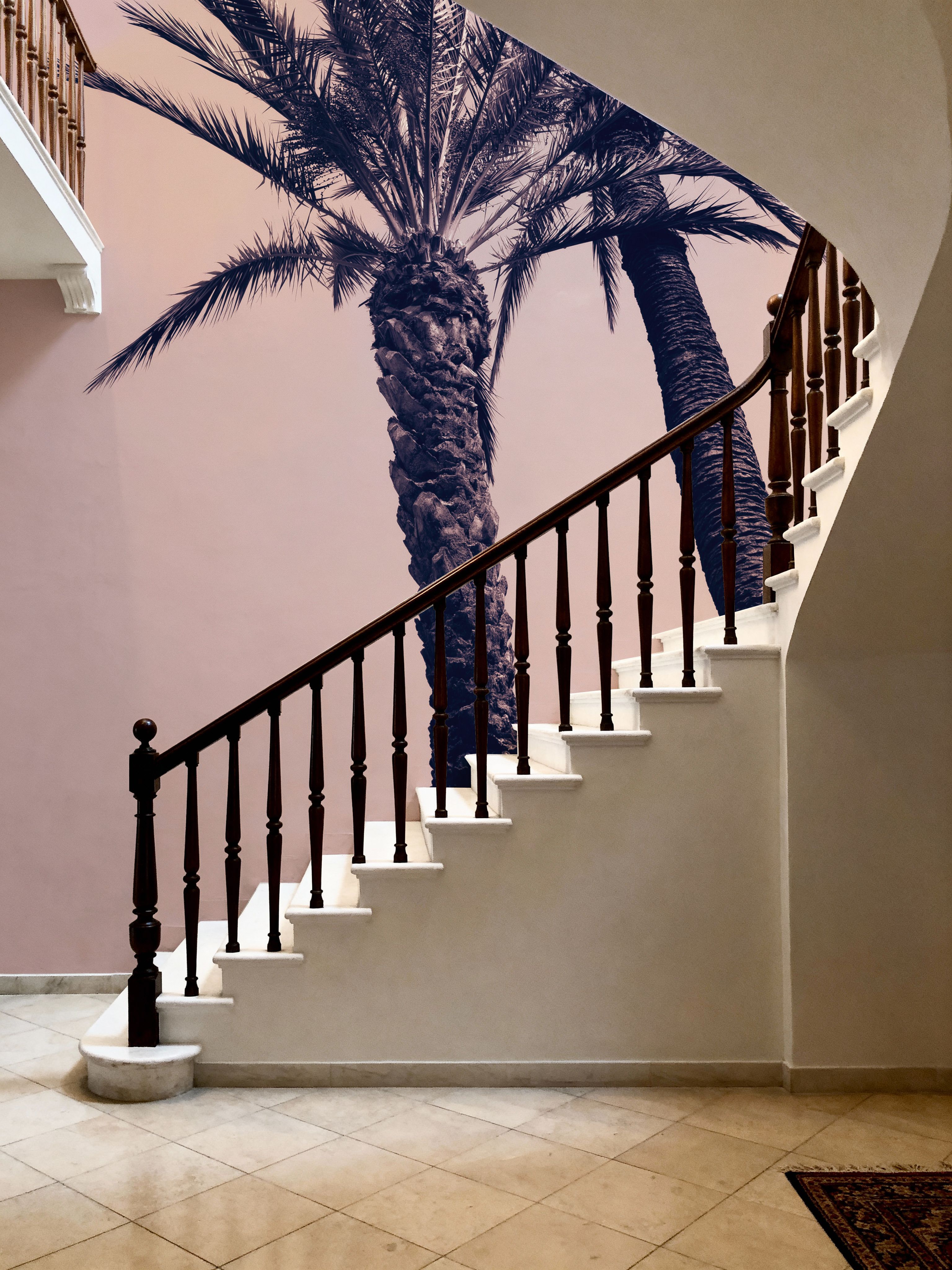 Pink Palms I