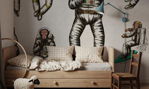 Space Monkey