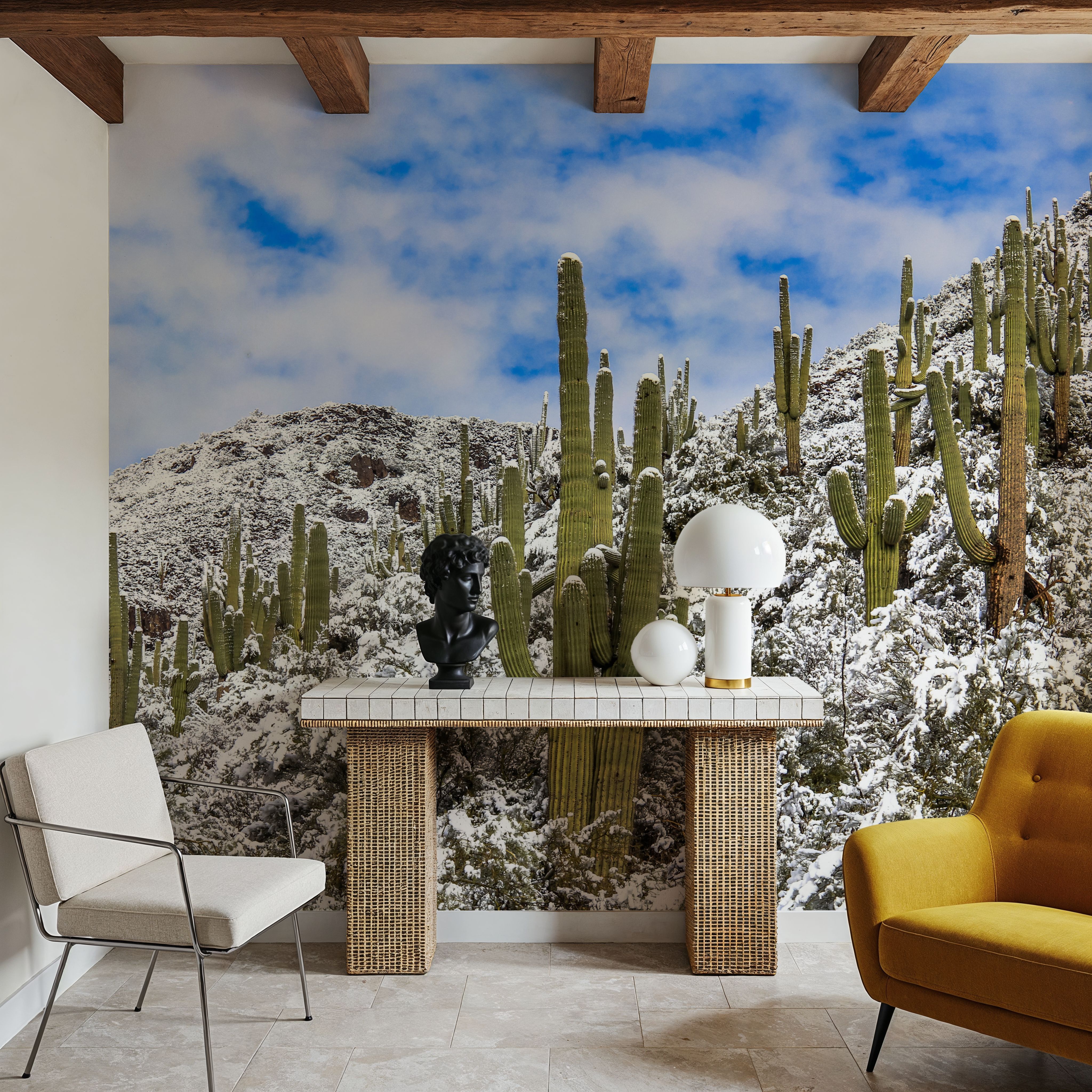 Snowy Desert Cactai