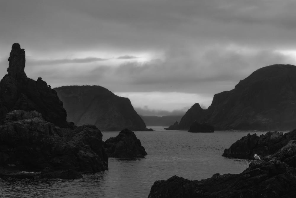 Twillingate Coast BW