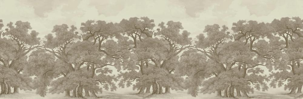 Oak Haven, Parchment
