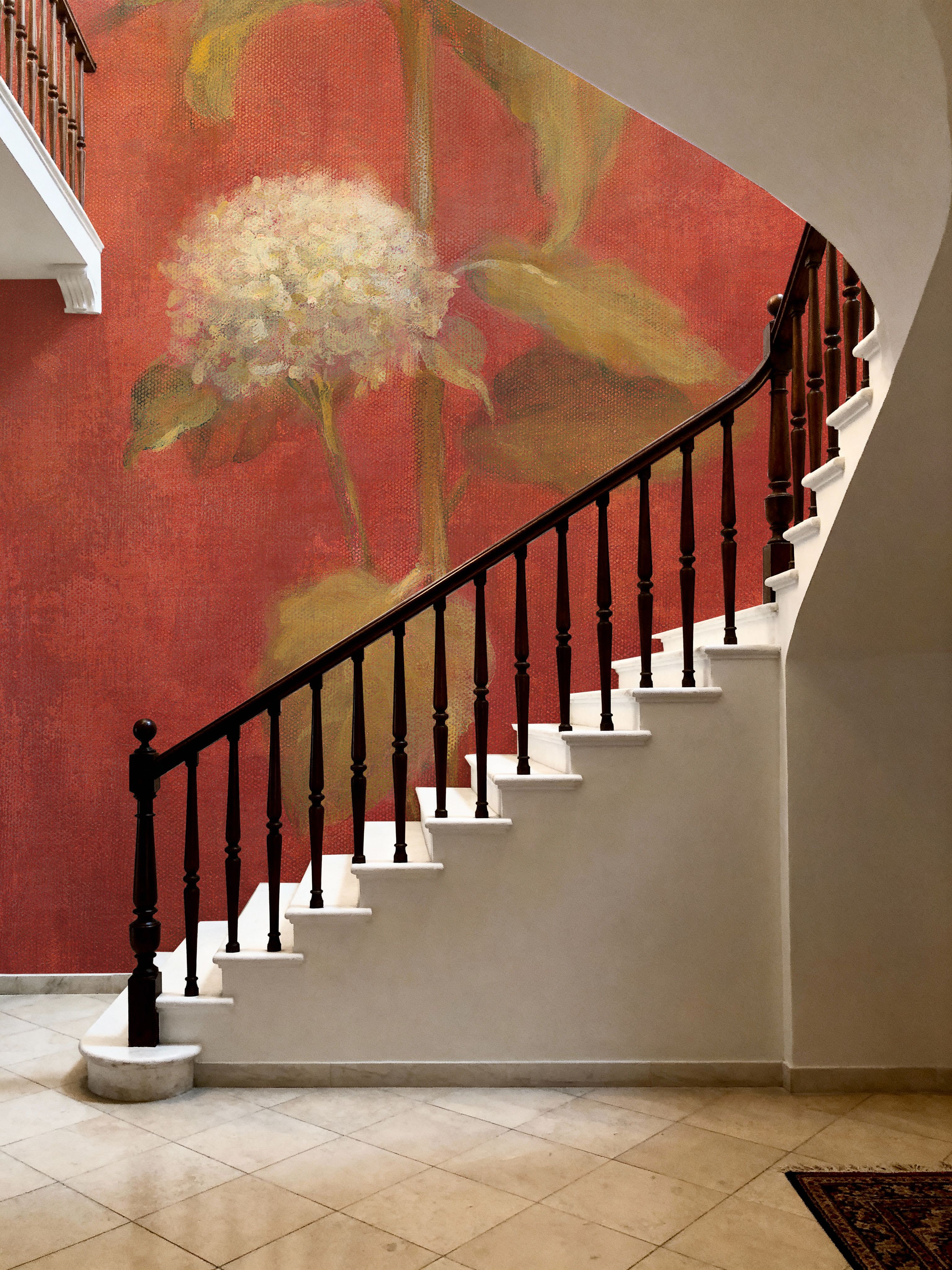 White Hydrangea on Red