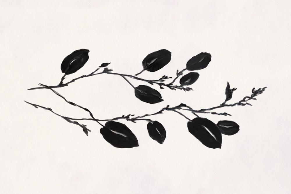 Shadow Leaves I