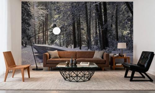 Winter's Passage Forest