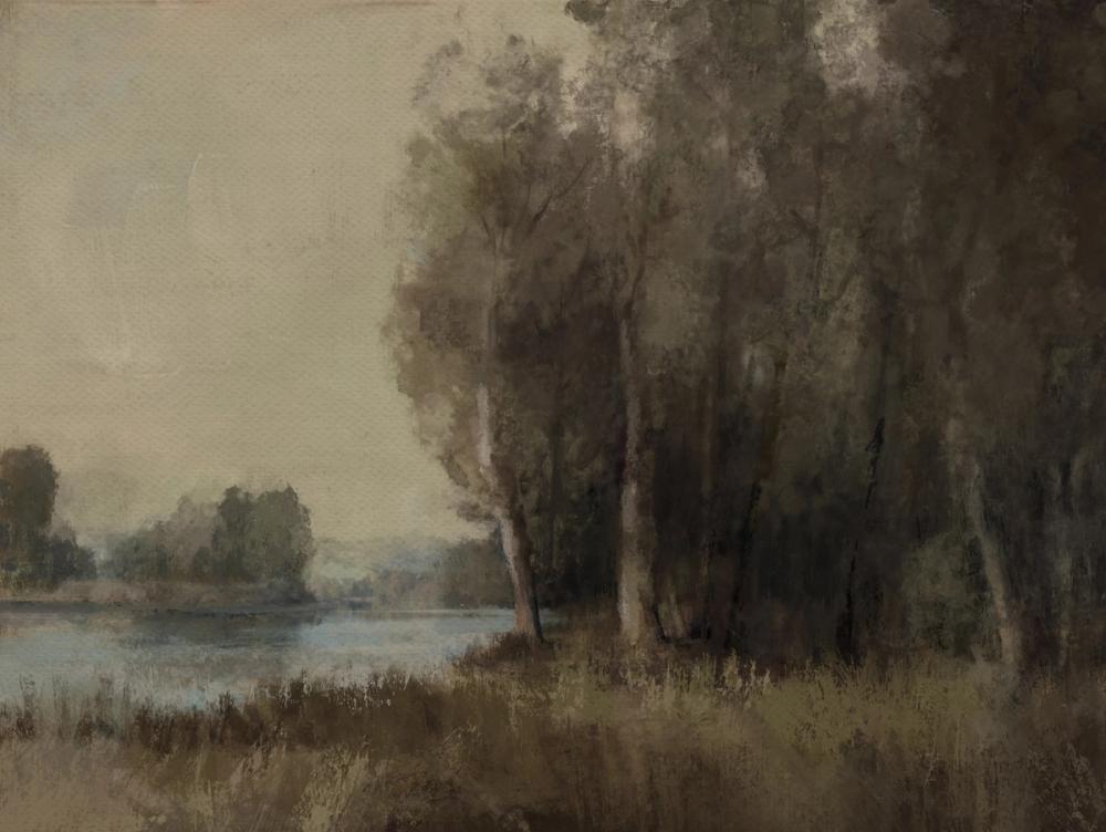 Moody Landscape