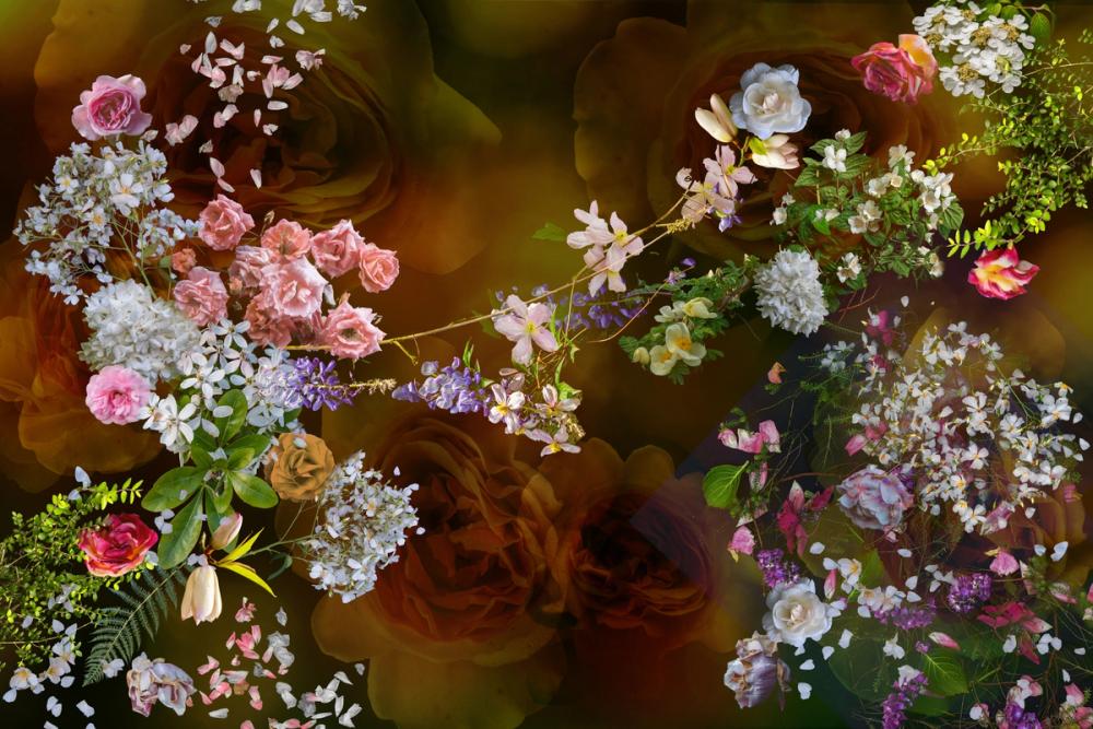 Brige of Roses