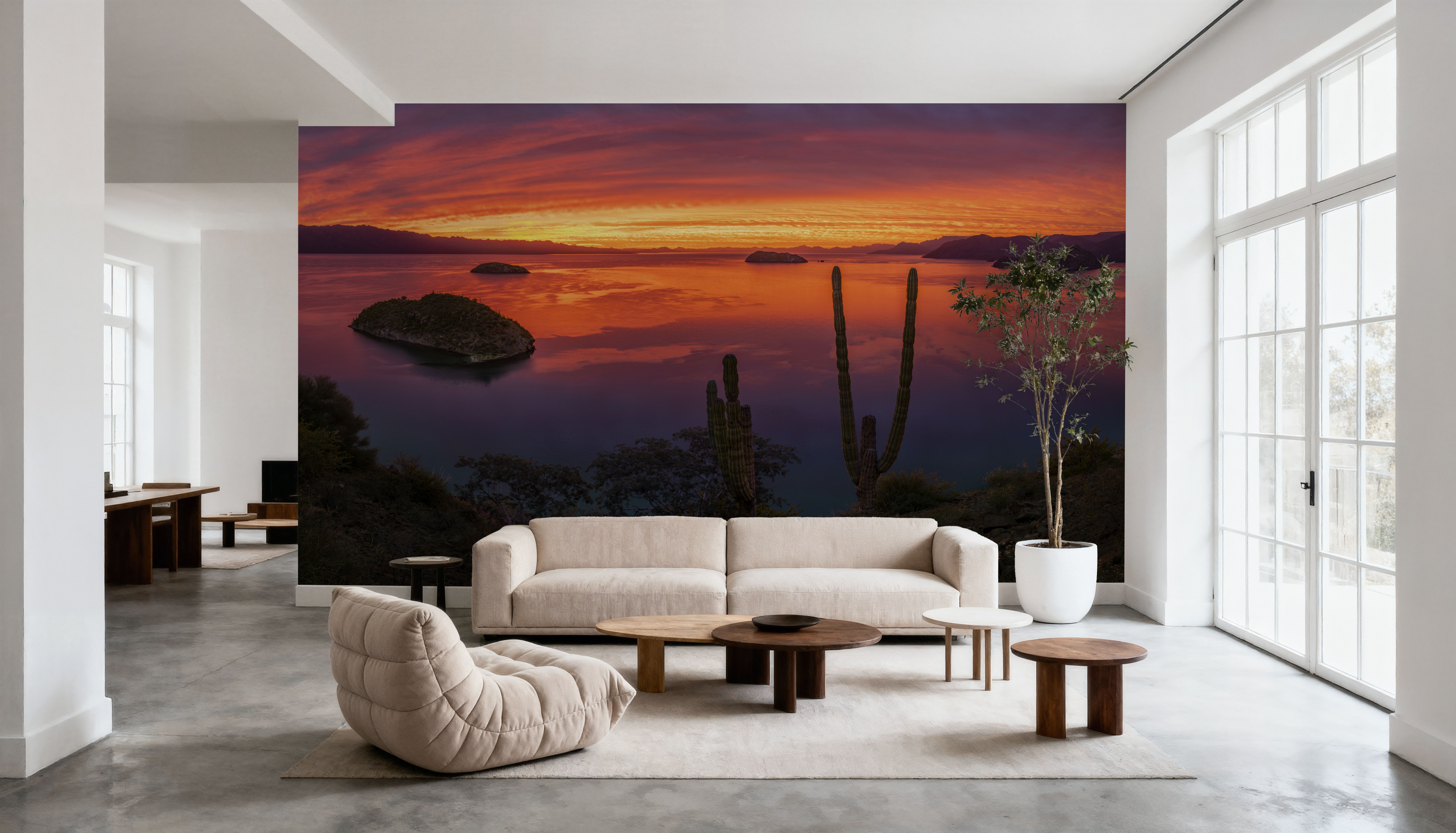 Cardon Cactus Sunset