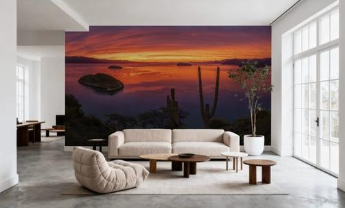 Cardon Cactus Sunset
