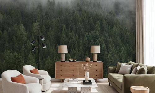 Foggy Treetops