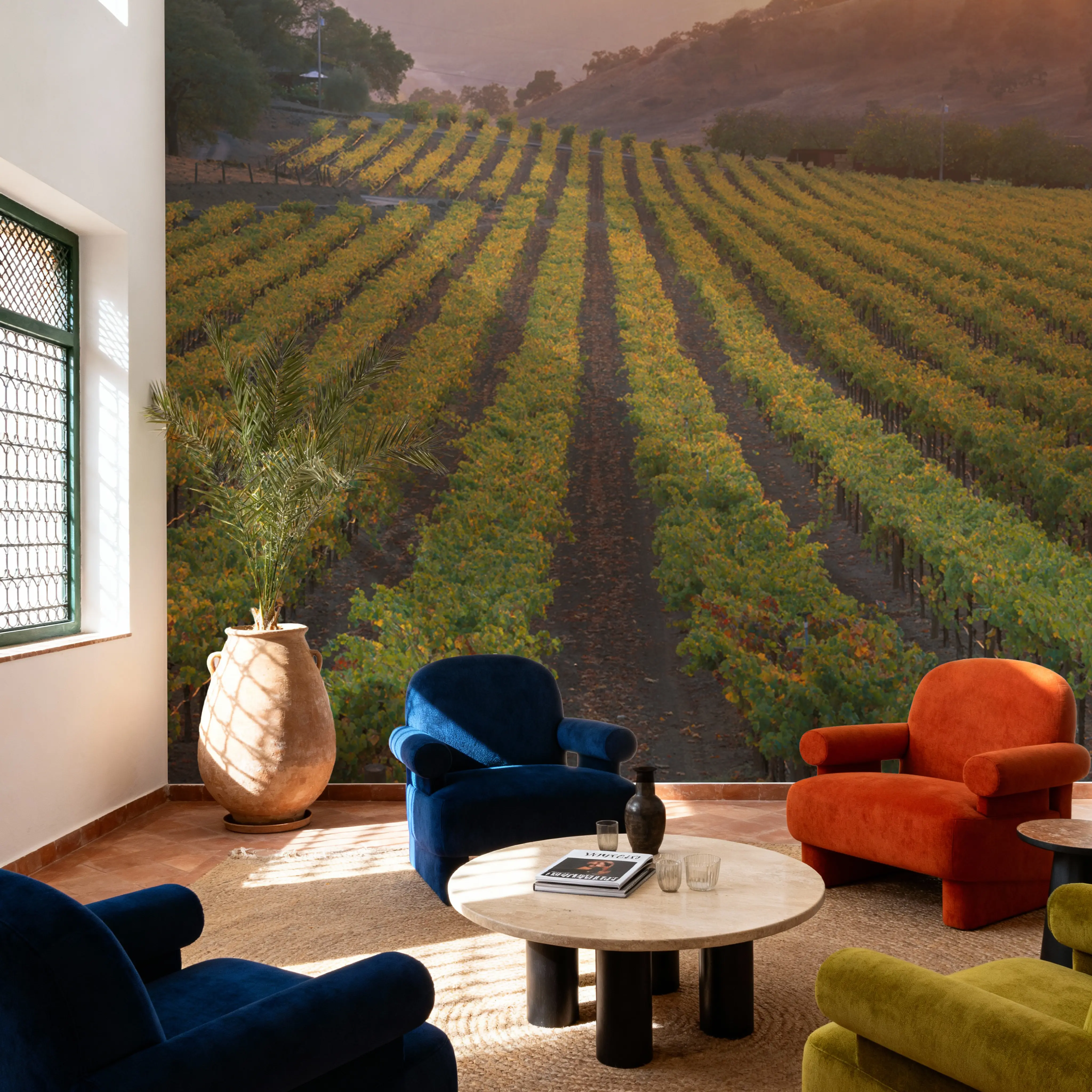 Fotobehang - Napa Sunset - Bladeren Landschappen Mural - Groen - Woonkamer - Wallism België - Zelfklevend of Vliesbehang