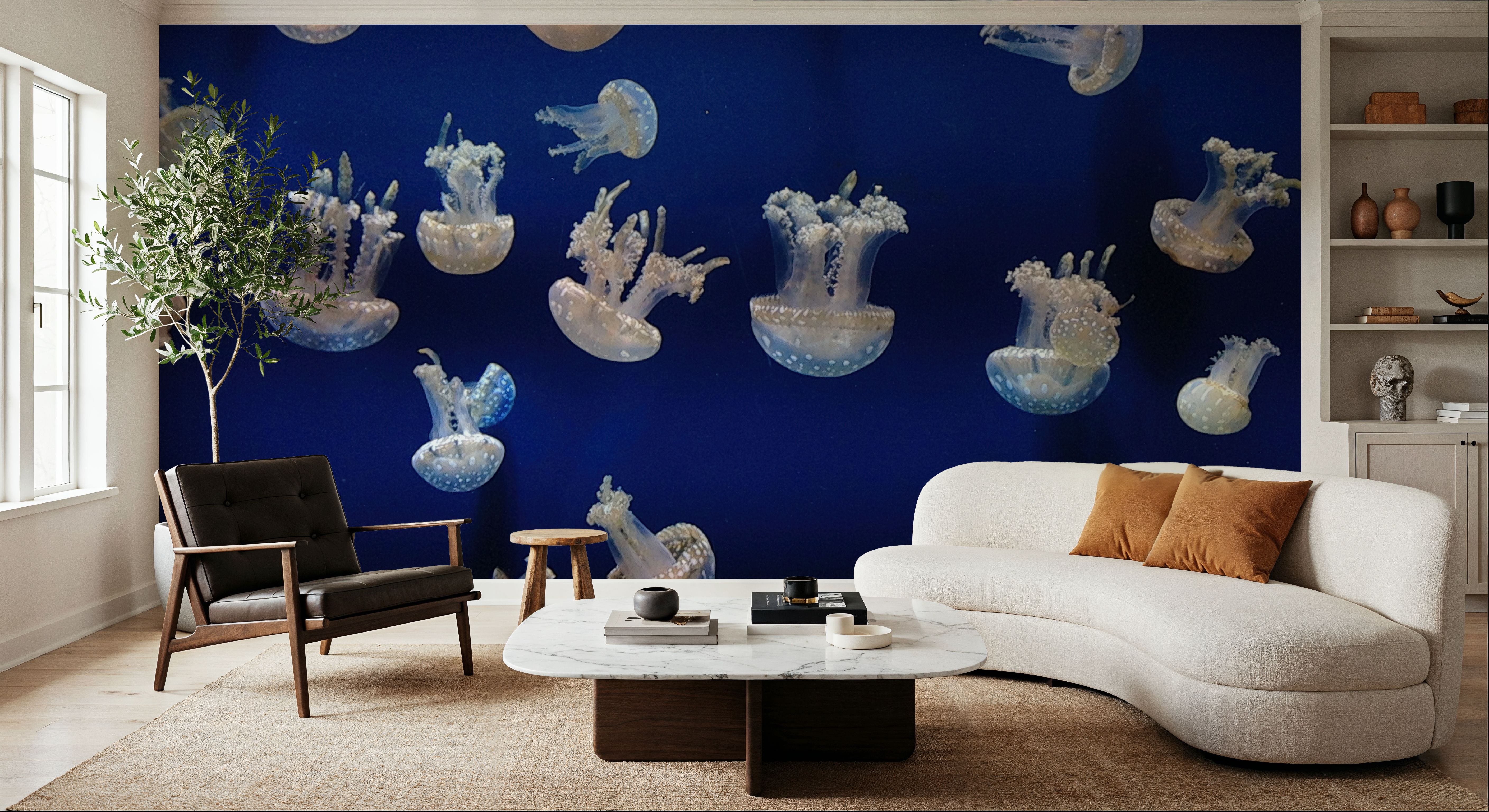 Jellyfish