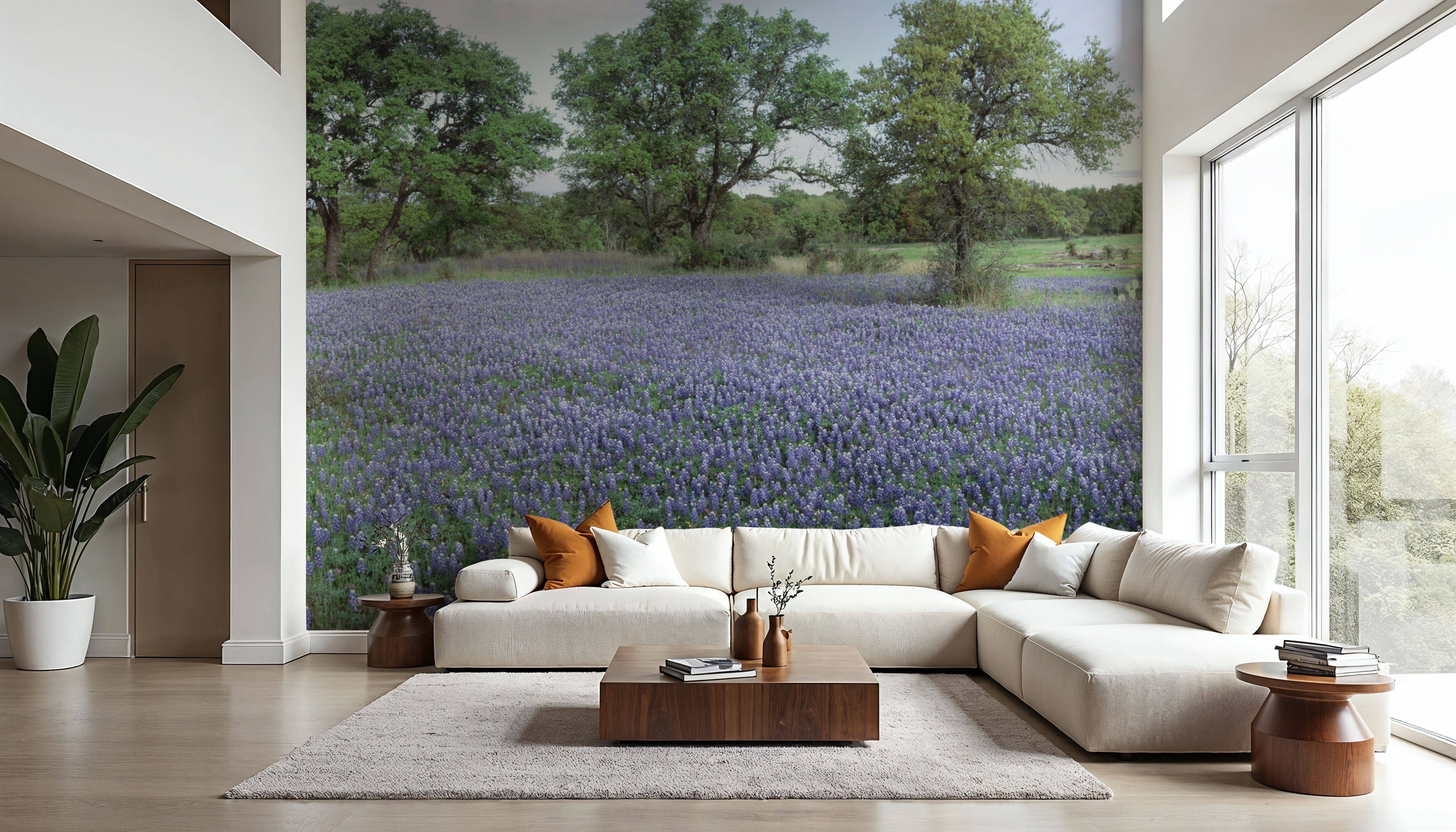 Texas Bluebonnet Paradise