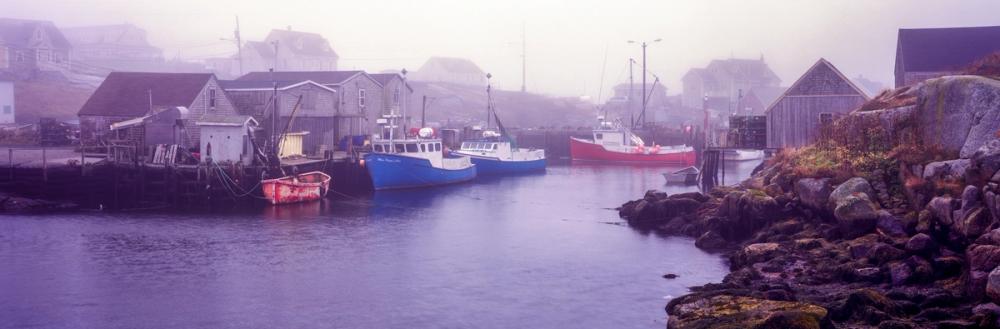 Foggy Fishing Purple