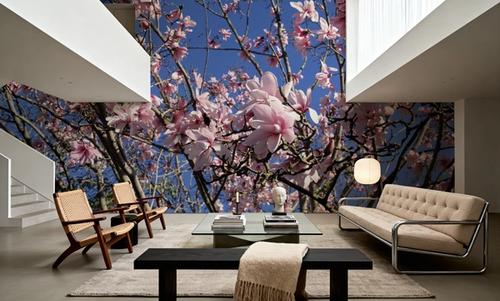 Blush Magnolia Sky