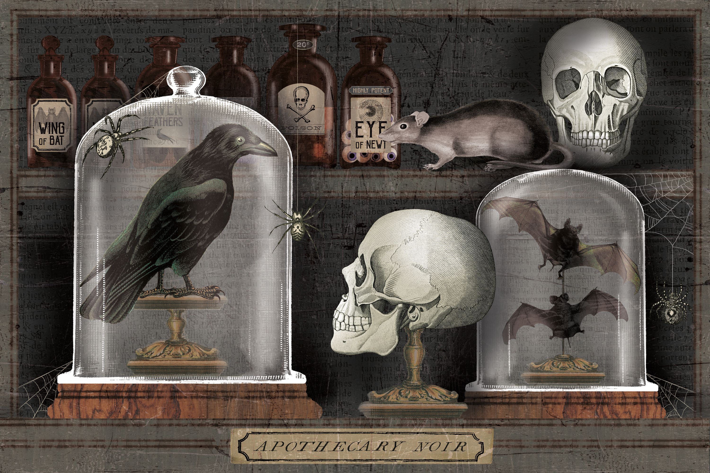 Apothecary 2 Wallpaper by Jenn Ross76 | Society6