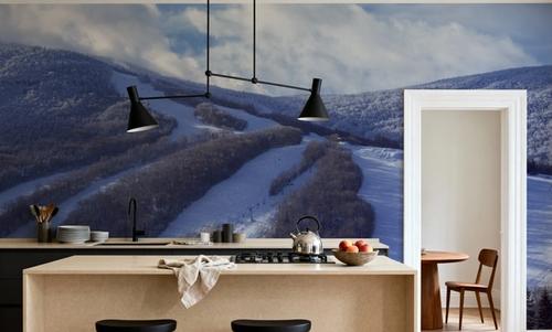 Alpine Descent