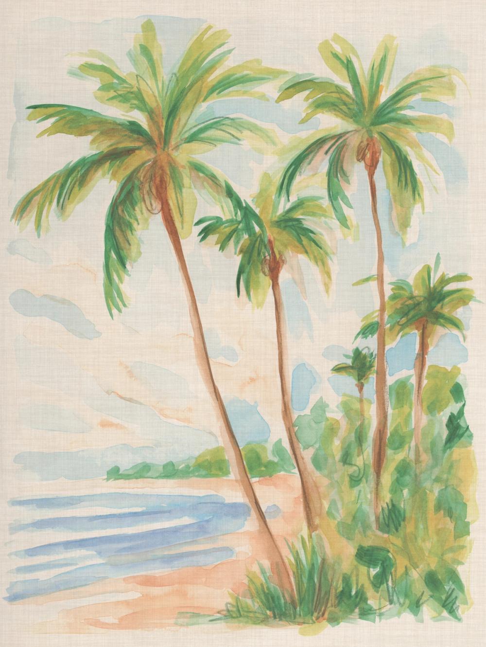 Playa Palms II