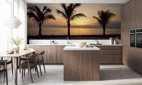 Sunset Palms