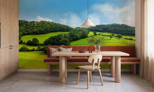 Welsh Landscape