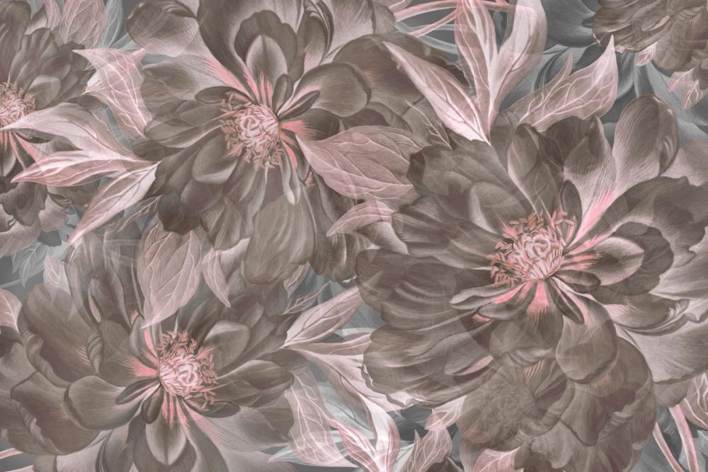 Peony Study - Ash and Pink