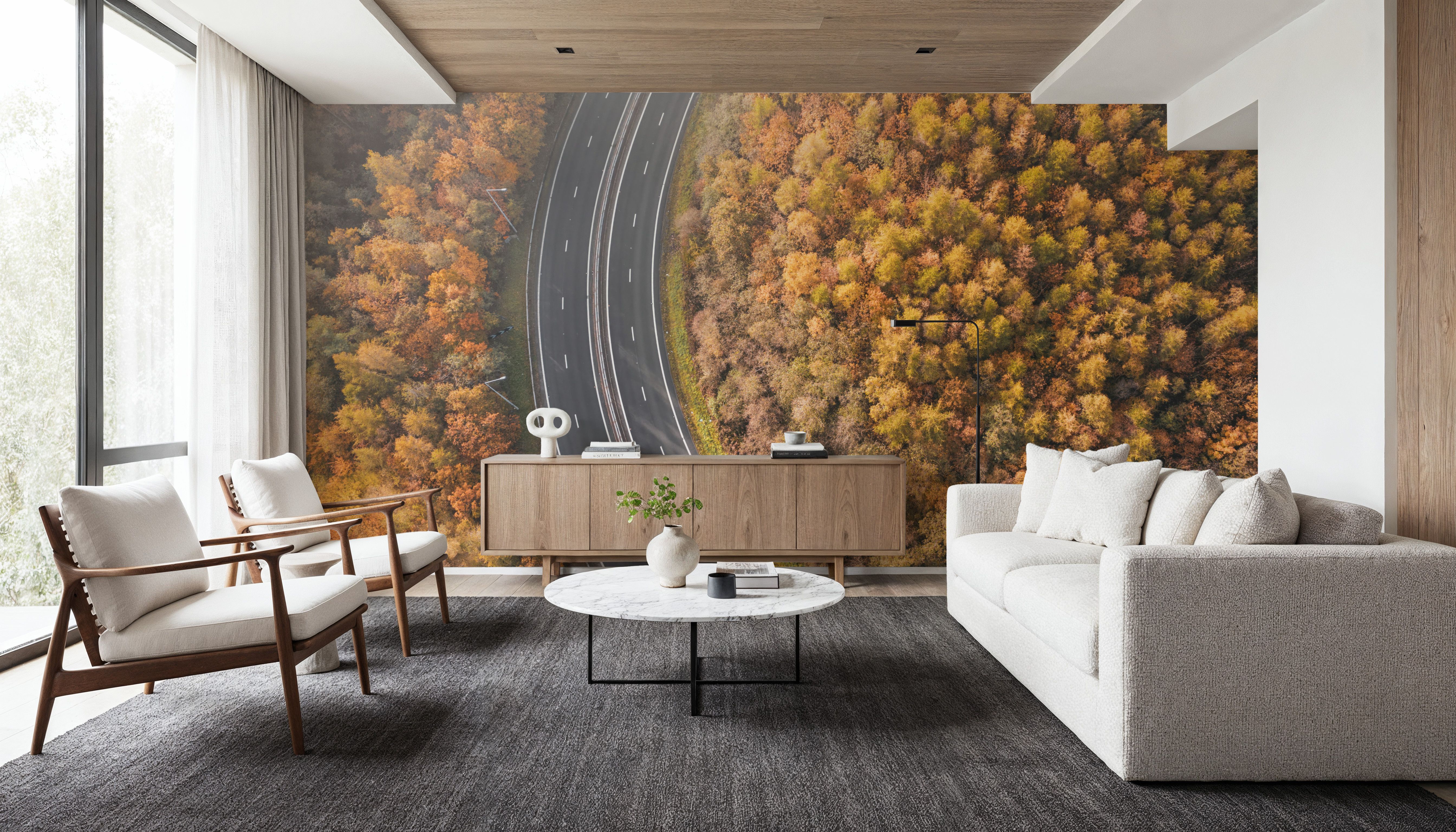 Autumn Canopy Road