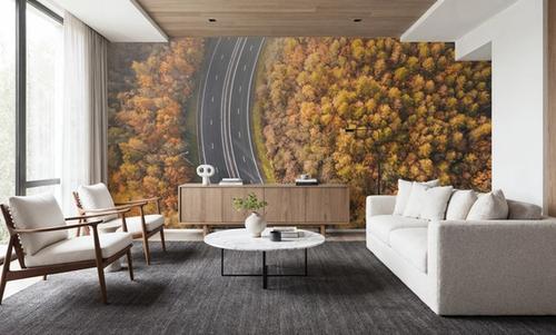 Autumn Canopy Road